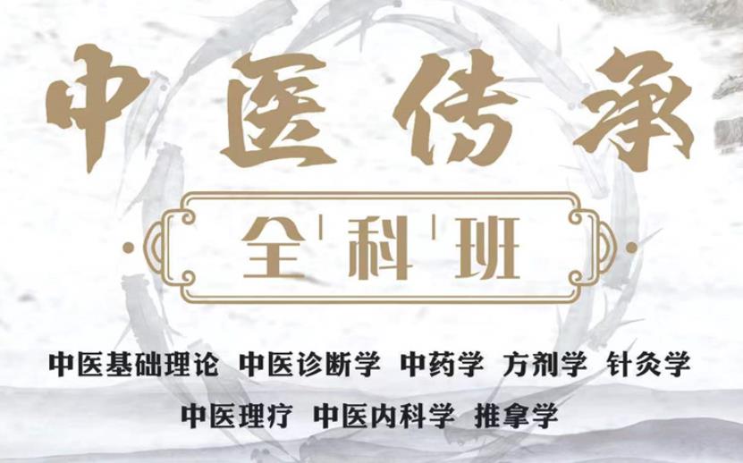 中医师承培训班哪家好