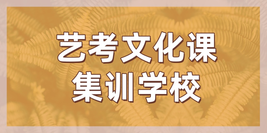 艺考文化课集训学校