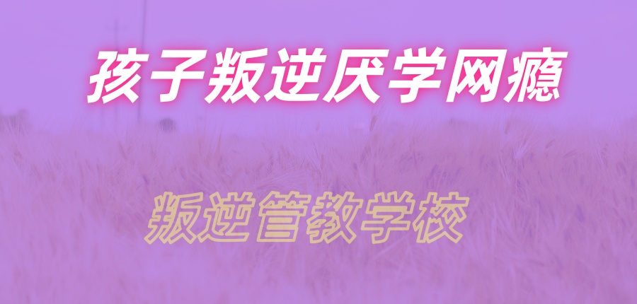 在陕西,推荐几所在叛逆戒网瘾管教领域口碑较好的学校名单 在陕西,推荐几所在叛逆戒网瘾管教领域口碑较好的学校名单