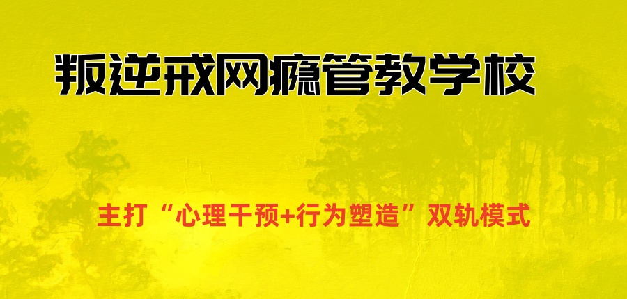 在叛逆戒网瘾管教领域口碑较好的学校 在叛逆戒网瘾管教领域口碑较好的学校