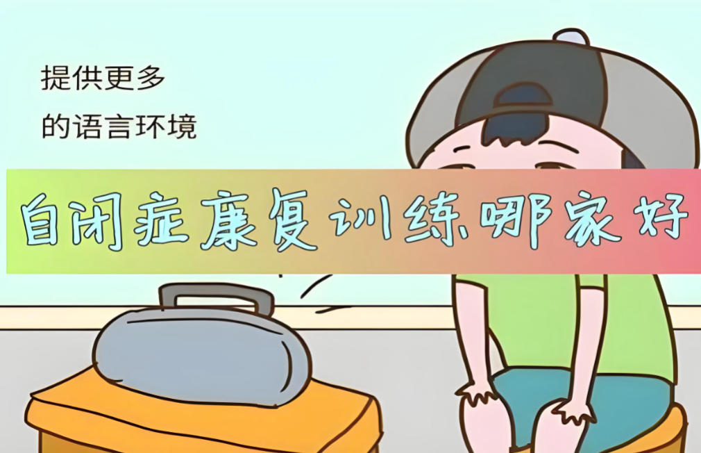 深圳自闭症孤独症康复机构 深圳自闭症孤独症康复机构