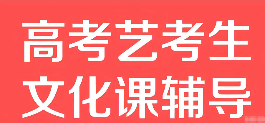 武汉高考艺考生文化课辅导