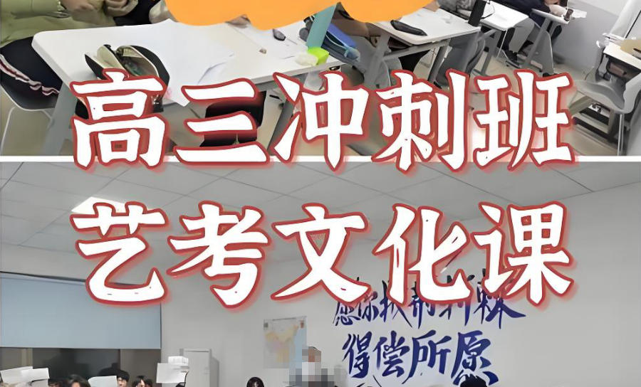 武汉高考艺考生文化课辅导