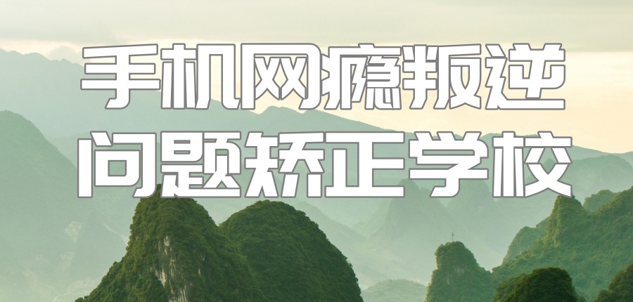 叛逆戒网瘾学校 叛逆戒网瘾学校