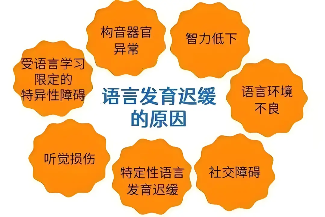 儿童语言发育迟缓干预机构