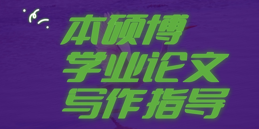 ais论文辅导机构