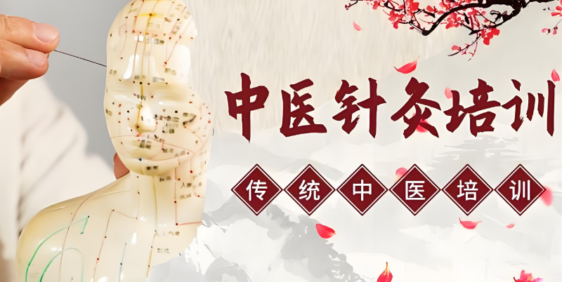 针灸培训