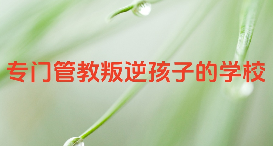 石家庄比较厉害的三个叛逆青少年全封闭特训学校名单及简介