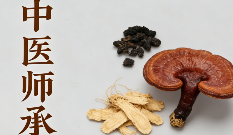 中医师承考试