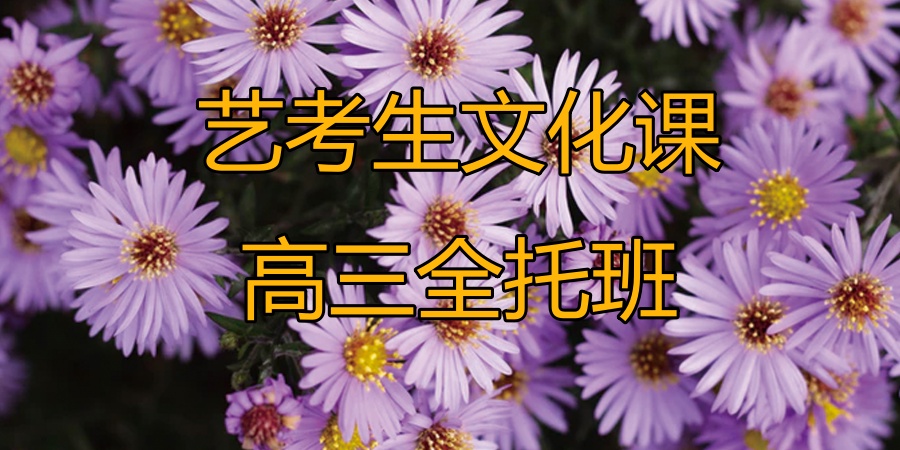 艺考生文化课高三全托班