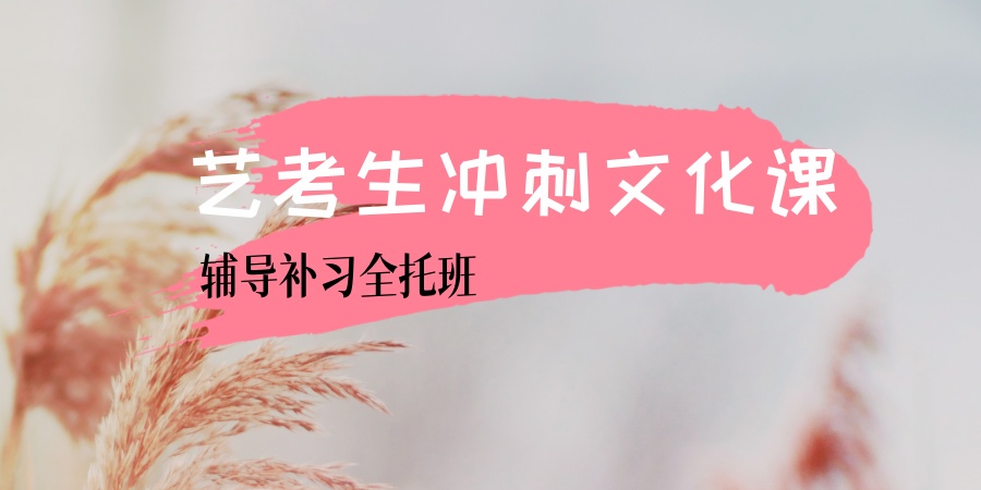 合肥适合艺考生冲刺文化课的全托补习机构名单更新