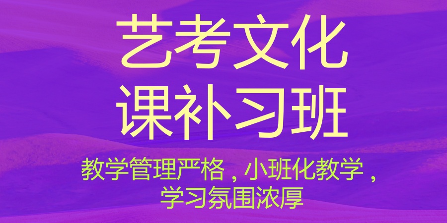 艺考文化课冲刺班