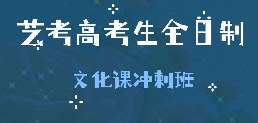 艺考高考生全日制文化课冲刺班