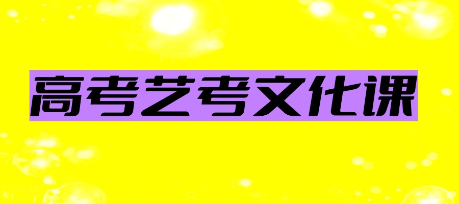 杭州艺考文化课冲刺班