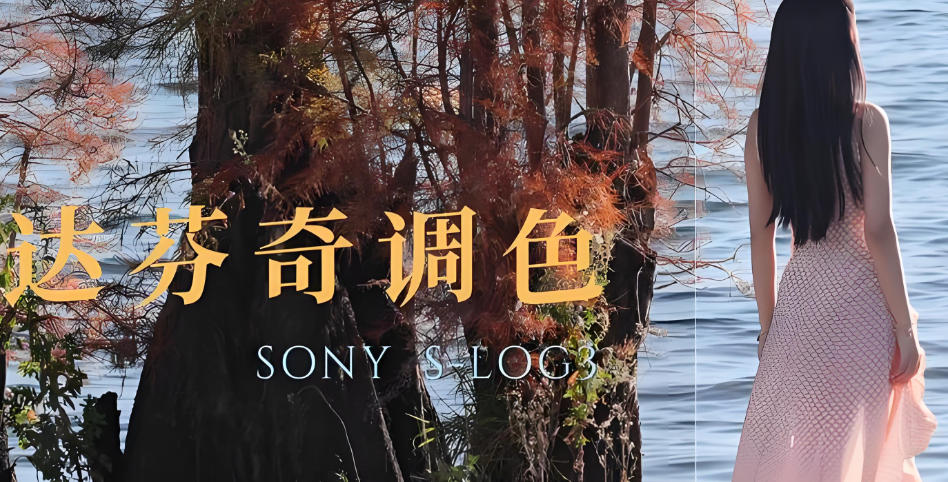 达芬奇调色培训机构 达芬奇调色培训机构