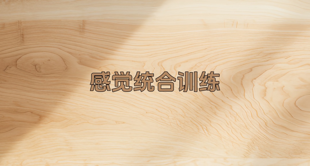 陕西西安儿童感统训练康复机构 陕西西安儿童感统训练康复机构