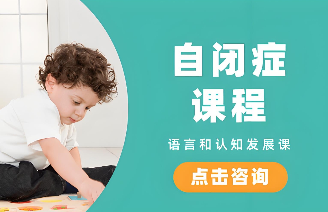 问题儿童康复机构,儿童康复治疗,儿童自闭症,自闭症康复治疗 问题儿童康复机构,儿童康复治疗,儿童自闭症,自闭症康复治疗