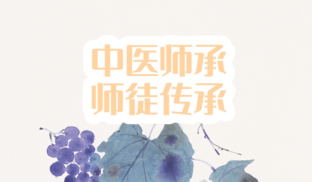 中医师承教学培训机构