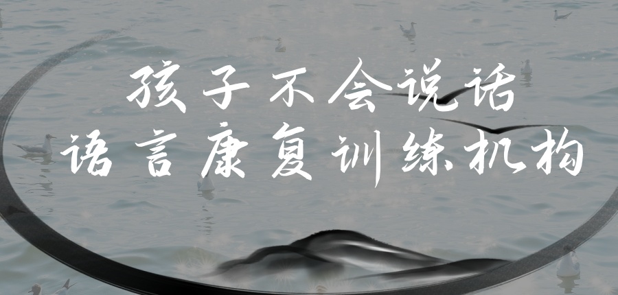 孩子不会说话语言康复训练机构 孩子不会说话语言康复训练机构