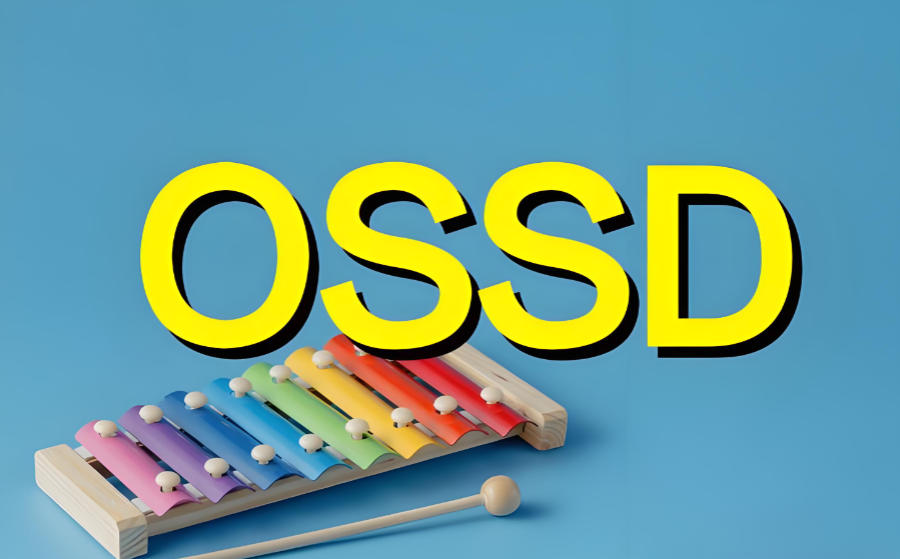 OSSD课程辅导培训机构 OSSD课程辅导培训机构