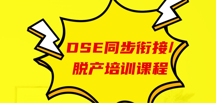 DSE同步衔接/脱产培训课程 DSE同步衔接/脱产培训课程