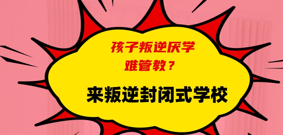 叛逆封闭式学校 叛逆封闭式学校