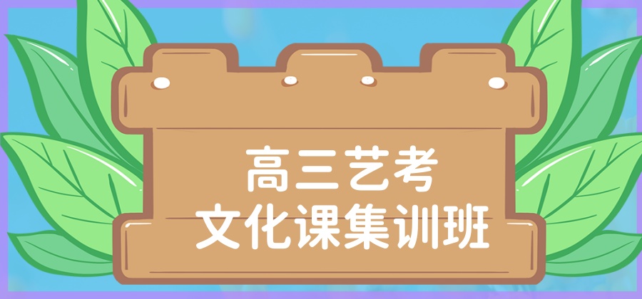 高三文化课集训班