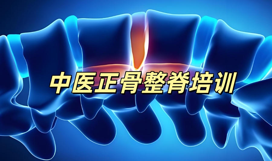 中医正骨技术培训机构