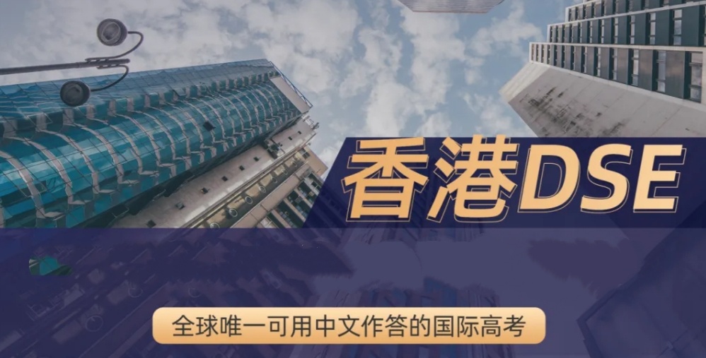 top10dse封闭培训机构