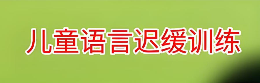 西安自闭症康复训练机构