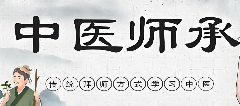 2026更新成人中医师承培训机构十大名单盘点 2026更新成人中医师承培训机构十大名单盘点