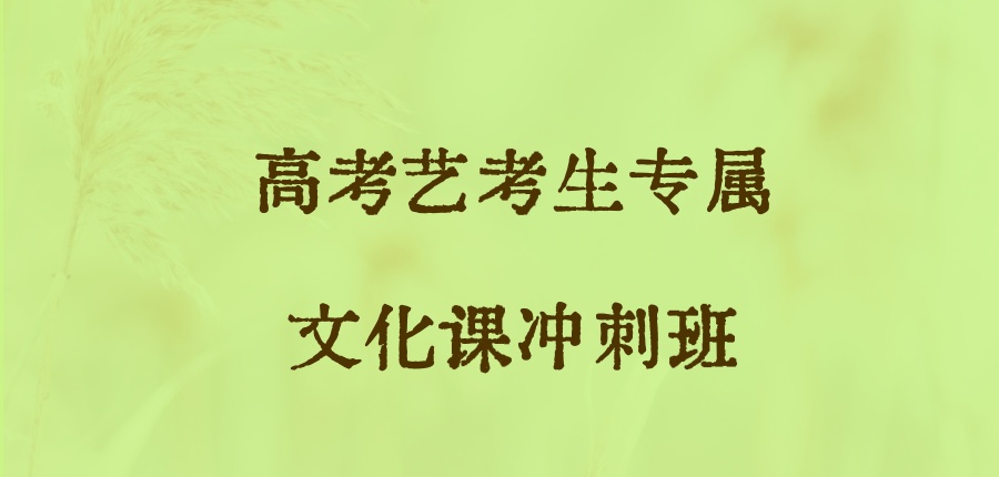 艺考生冲刺高考培训机构 艺考生冲刺高考培训机构