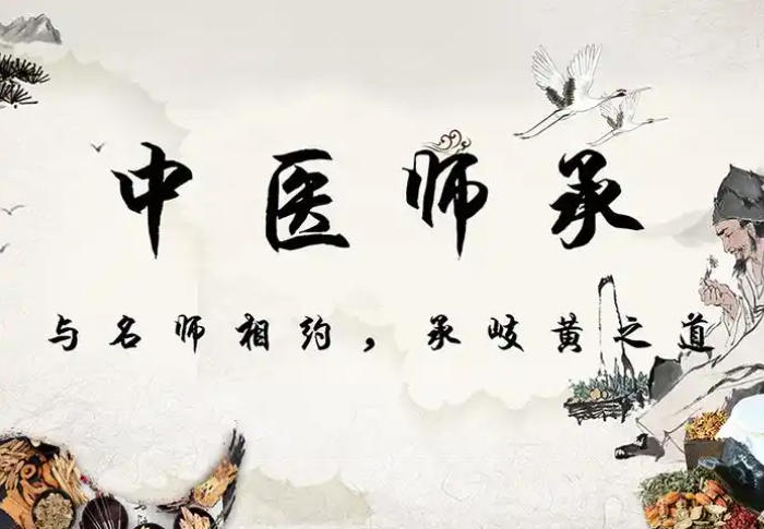 南京中医师承培训机构十大榜单汇总