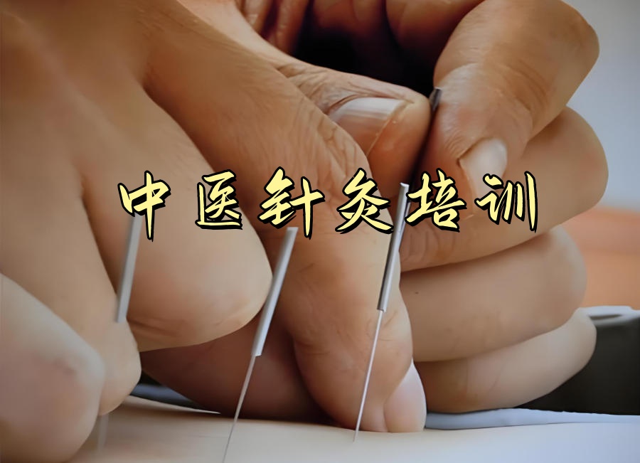 深圳中医针灸培训机构