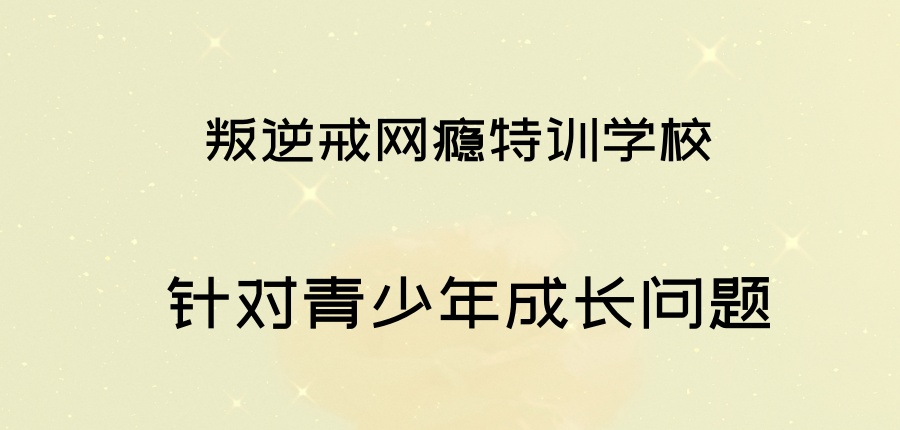 叛逆戒网瘾学校 叛逆戒网瘾学校