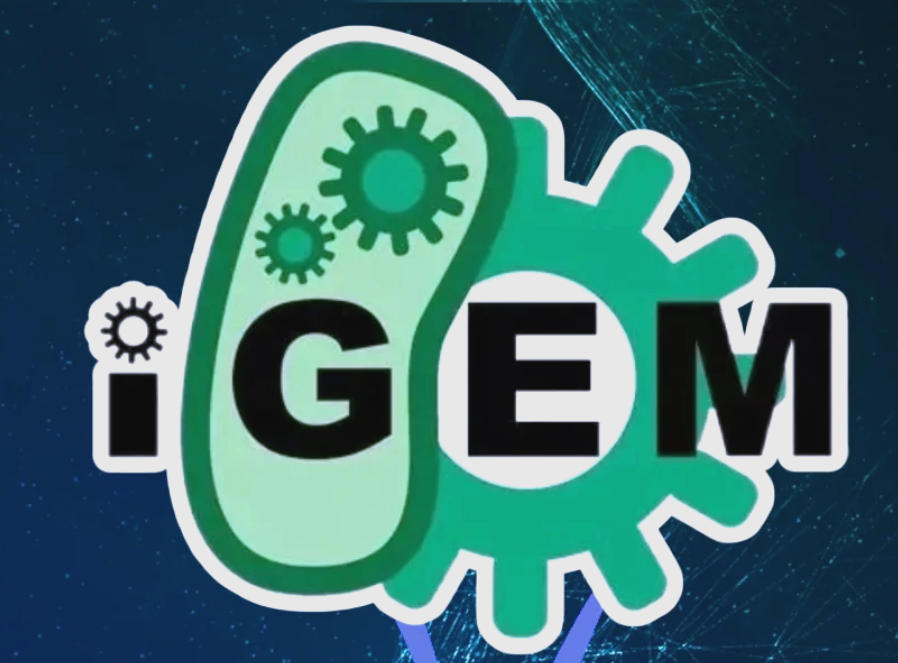 iGEM国际竞赛辅导机构 iGEM国际竞赛辅导机构