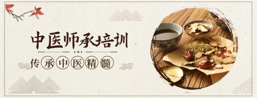 中医师承培训 中医师承培训