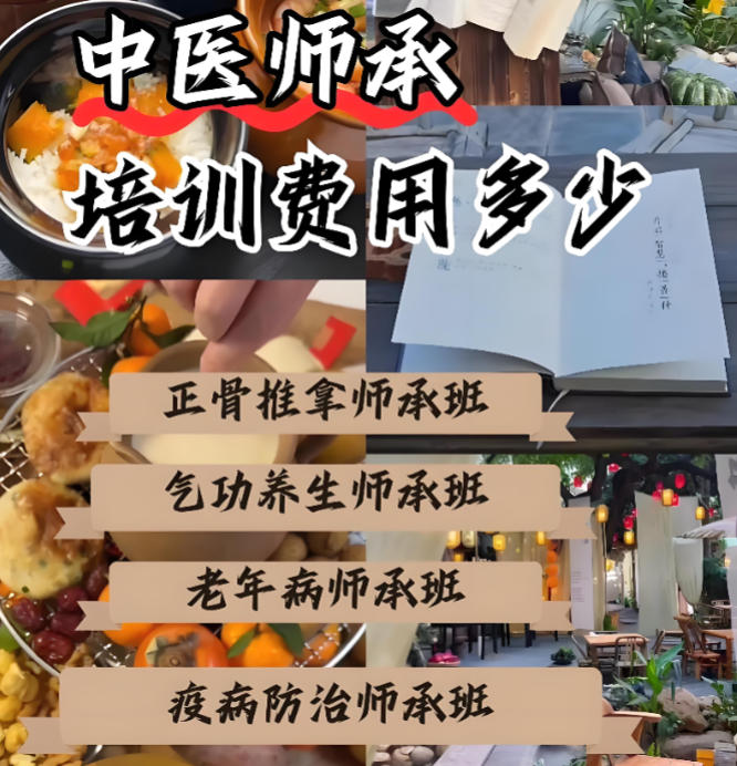 十大中医师承哪家培训机构