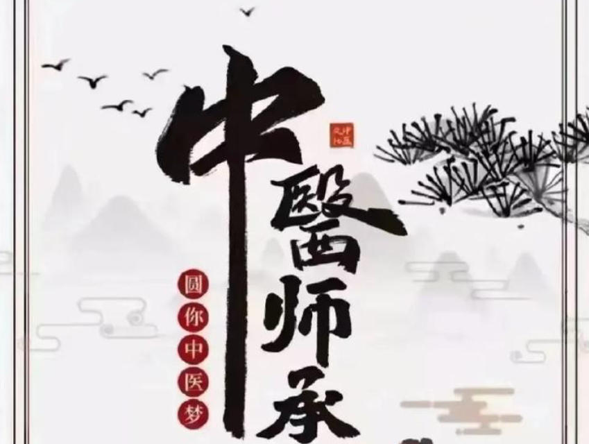 中医师承考证培训机构(学校) 中医师承考证培训机构(学校)