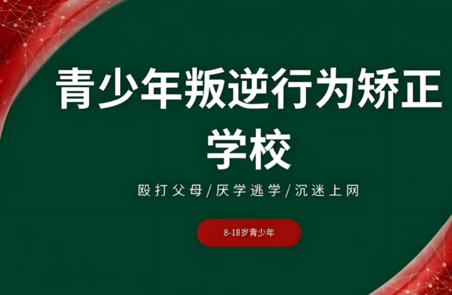 十大叛逆改造学校