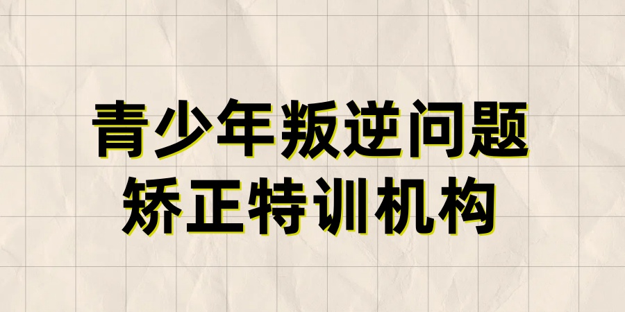 河南省三门峡市青少年叛逆期艺术疗愈特训中 河南省三门峡市青少年叛逆期艺术疗愈特训中
