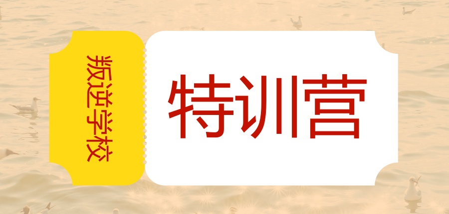 叛逆特训中心 叛逆特训中心