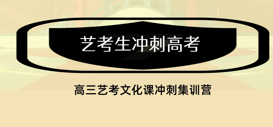 天津艺考文化课冲刺辅导机构