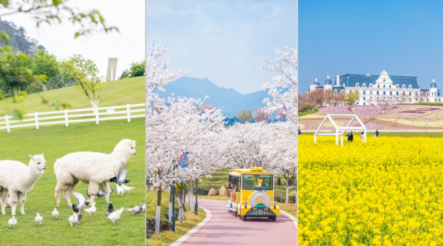 金华瑜伽教练培训学校2026收费已更新 金华瑜伽教练培训学校2026收费已更新