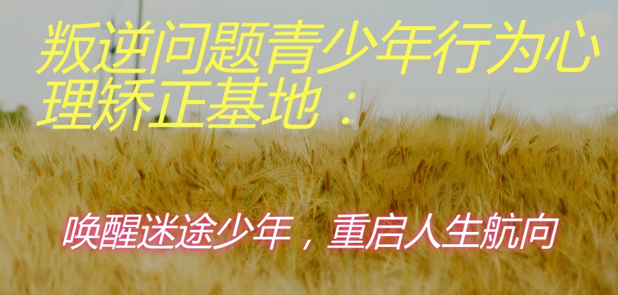 陕西商洛孩子叛逆管教全封闭学校口碑好的十大名单一览