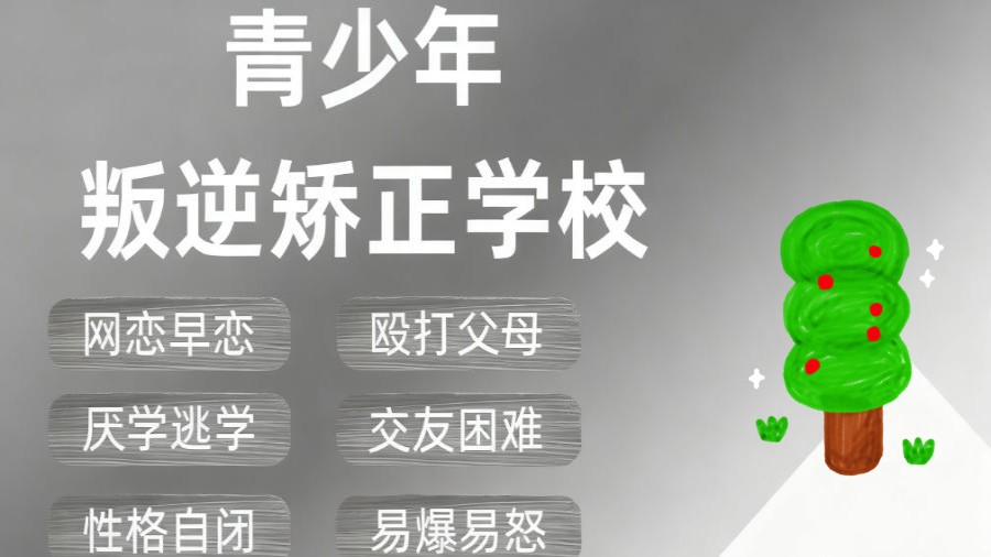 2026年山东十大口碑好的戒网瘾叛逆学校榜单揭晓.jpg 2026年山东十大口碑好的戒网瘾叛逆学校榜单揭晓.jpg