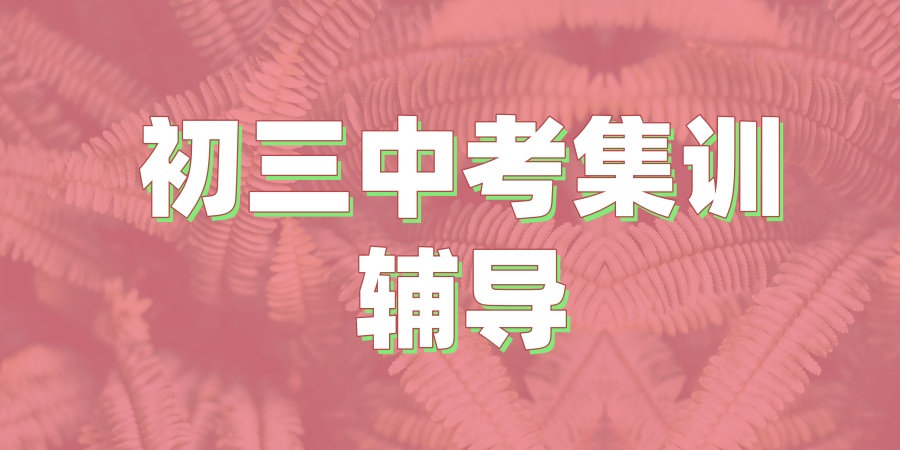 上海中考冲刺报初三集训班 上海中考冲刺报初三集训班