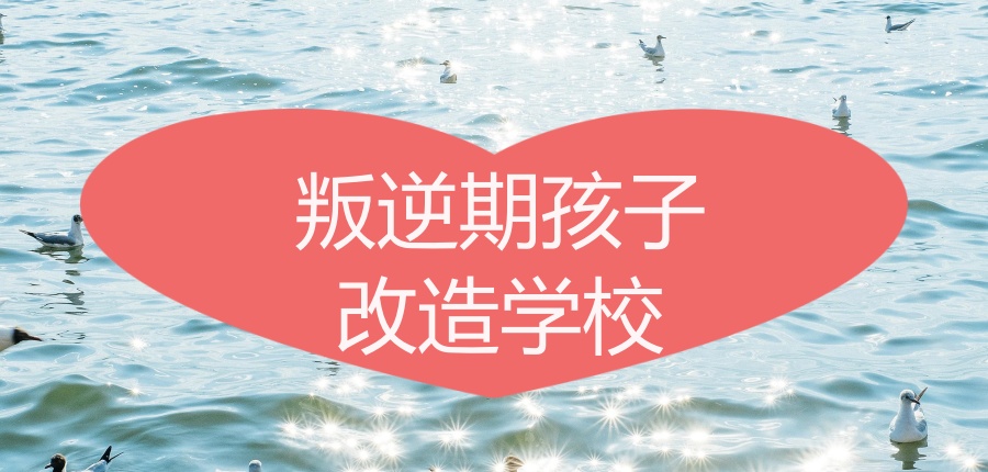 安康规范管理结合心理辅导的学校