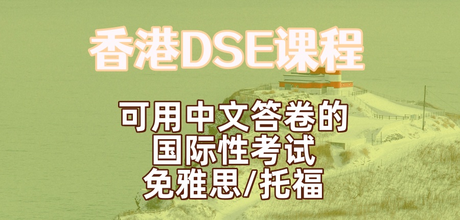 DSE辅导班