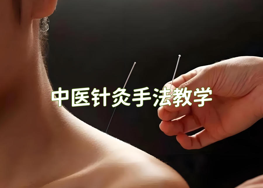 珠海中医针灸培训机构